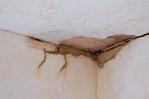 Best Water damage repair service  in Novi, MI