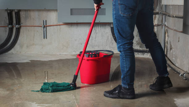 Best 24-hour water damage restoration  in Novi, MI