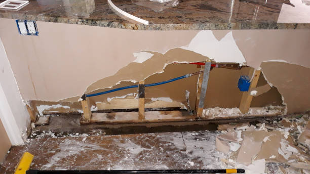 Best Basement water damage restoration  in Novi, MI