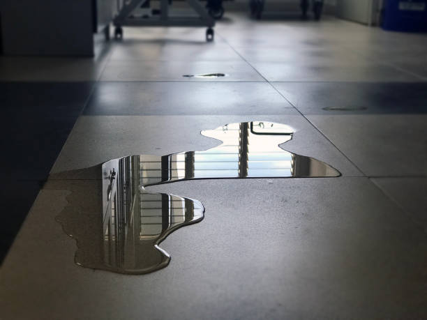 Best Emergency water damage restoration  in Novi, MI