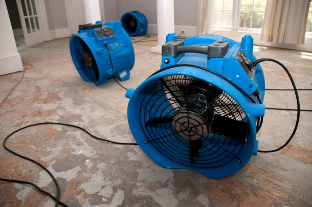Best Professional water damage repair  in Novi, MI