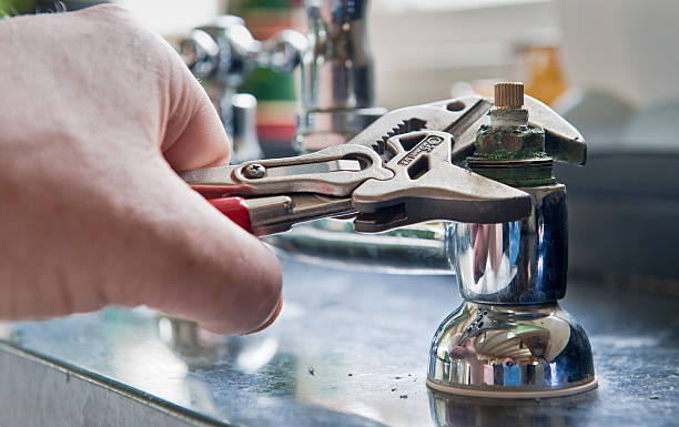 Best Flood restoration services  in Novi, MI