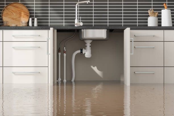 Reliable Novi, MI Water damage restoration Solutions