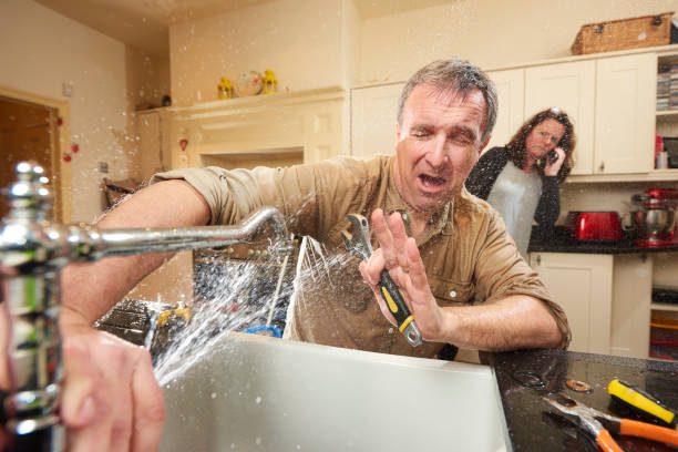 Best 24/7 water damage repair  in Novi, MI